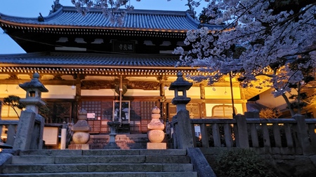 温泉神社5　夜桜
