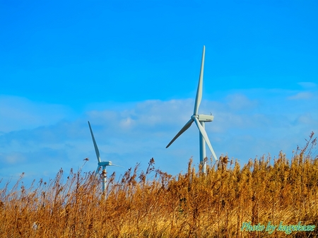 伊良湖風力発電