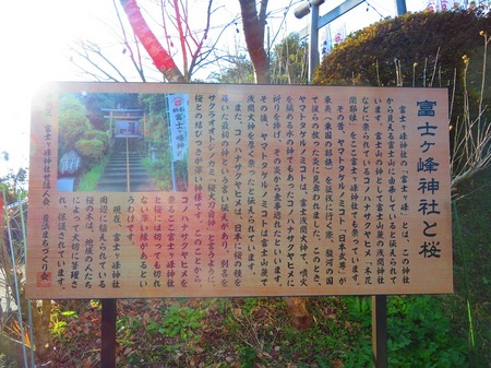 富士ケ峰神社1